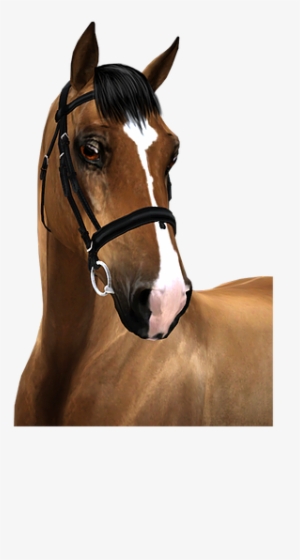 Illidan - Sorrel #1832161 Illidan - Sorrel #1832161