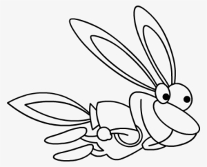 Bunny - Net-winged Insects #1832421