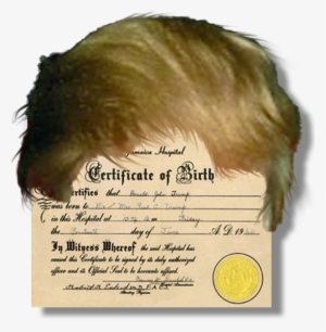 "raising The Bar," No - Donald Trump Birth Certificate #1832622