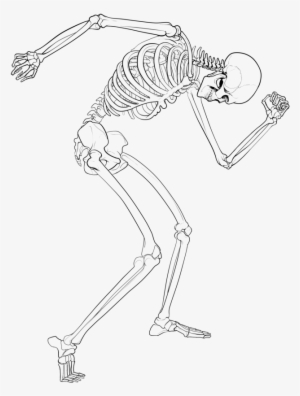 Free Stock Skeleton By Deskleaves On Deviantart Svg - Sketch #1832624