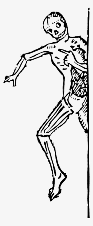 Skeleton Arm Drawing At Getdrawings - Sketch #1832800