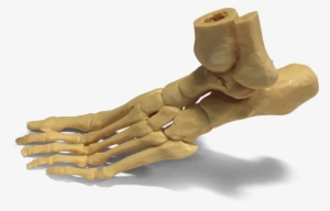 Category - 3d Printing #1833025