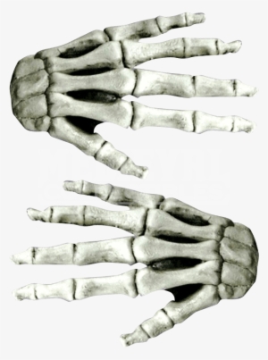 Large White Skeleton Costume Hands - Horror White Latex Skeleton Hands #1833064
