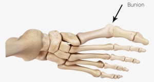 Jason Pringle2017 06 22t21 - Mannequin #1833203