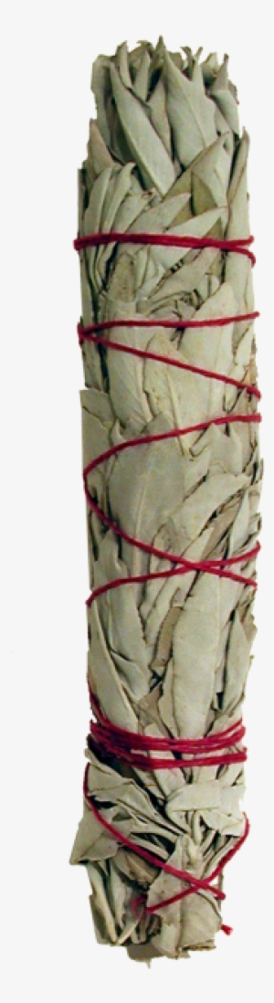 White Sage #1833378