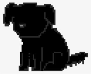 Smudge - Koala #1833416