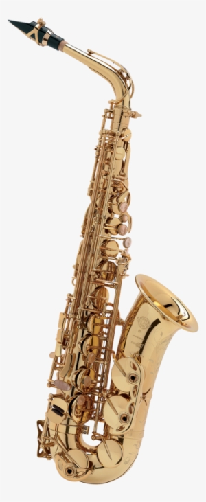 Selmer Paris Alto Saxophone - Selmer Seles Axos Alto Sax #1833652