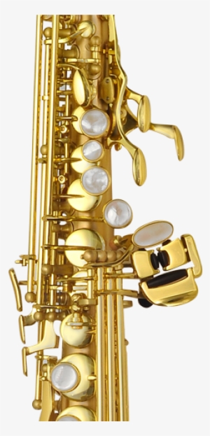 This Is A Beautifully Crafted Instrument That Will - P Mauriat Le Bravo 200 Soprano #1834219