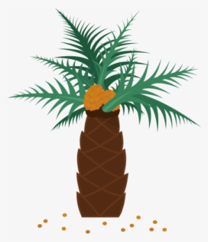 Real Palm Tree Png Which Everyday Products Contain - Palm Oil #1836808