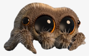 Report Abuse - Lucas Spider #1837069