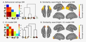 Images/sim Sl - Searchlight Brain #1837949