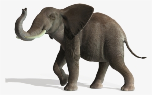 3d Elephant, New Cashadvance6online - Elephant Png File #1839028