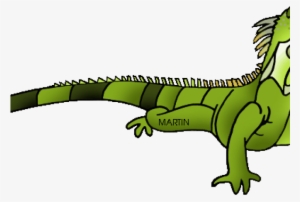 Green Iguana Geico Free On Dumielauxepices Net - Iguana Clipart #1839618