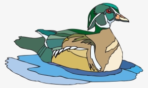 Duck Clipart Duck Beak - Duck Is Swimming Clipart #1839991