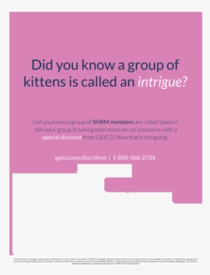 Colorfulness #1840337