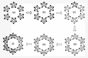 Evolution Process Of Caveman Network - Evolution #1842274