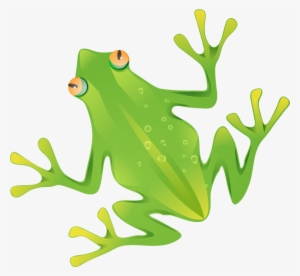 Wildwood Wildlife Park Supports Classroom Studies And - Frog #1842304