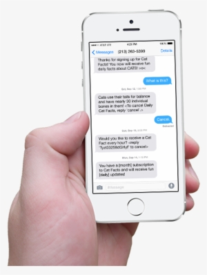 Hand Holding Iphone With Scrolling Cat Facts Text Messages #1842307