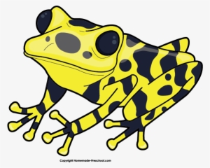 Click To Save Image - Poison Dart Frog Clip Art #1842339