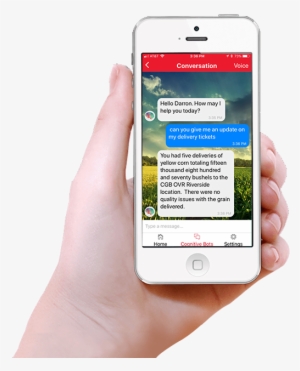 Hand Holding An Iphone Smartphone And The Screen Displays - Hand Holding Phone With Messages Transparent #1842781