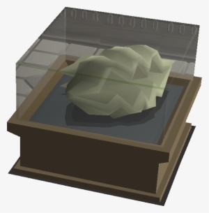 A Clam Shell Display - Clam #1843234