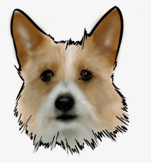 The Portuguese Podengo, Definitely Not To Be Referred #1844219