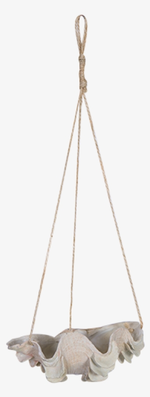 Hanging Clam Shell Planter - Beachside Bargains Evans Head #1844245