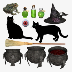 Witch, Halloween, Hat, Broom, Black, Cat, Potion - Witch #1846543