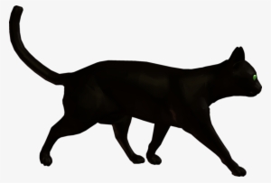 Happy Halloween - Nomination Bracelet Cat Charms #1846839