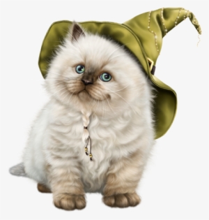 Cat #1846917