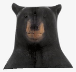 Standing Bear Head - Standing Bear #1848456