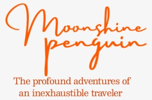 Moonshine Penguin - Penguin #1848928