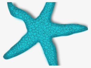 Starfish Clip Art #1849460