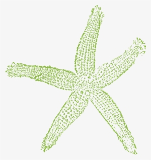 Starfish Svg File #1849654