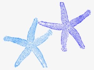 Sea Free On Dumielauxepices Net - Blue Starfish Clip Art #1849788