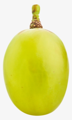Raisins - Grape #1849789