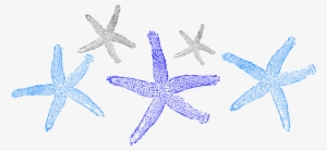 Prints Clip Art At Clker Com Vector #1849961