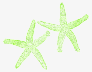 Lime Green Starfish Clipart Png For Web #1849962