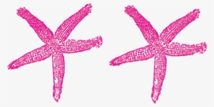 Clip Library Clipart Starfish - Starfish Clip Art #1849968