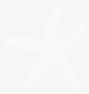 White Starfish Png Download - Ps4 Logo White Transparent #1850178