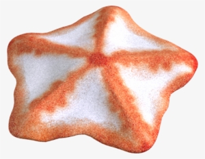 Starfish Png - Clip Art #1850181