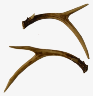 Deer #1850716