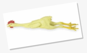 Using Rubber Chickens Can Improve Your Vdp Jobs - Visual Arts #1850735