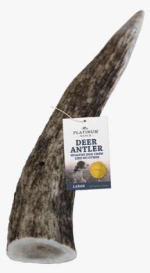 Deer Antler Chew Large - Platinum Ranch #1850962