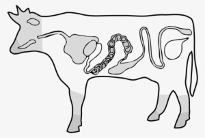 Image Freeuse Library Beef At Getdrawings Com Free - Drawing #1851977