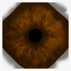 Wolf Eye - Eye #1852669