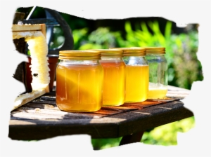 Honey In Jars - Bee Health: Background, Issues, And The Role #1852757