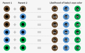 How Eye Color Is Inherited - Colored Eyes Chart #1852762