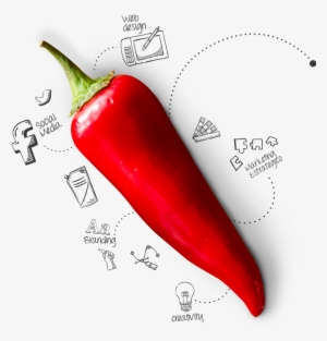 Home Esencia Img Eng - Pepper Design #1854947