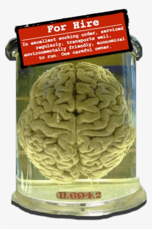 Borrow My Brain - Pacific Rim Sarah Brain #1855183